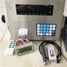 顶松仪表地磅维修 线速度表