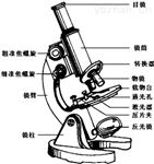光学显微镜