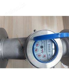 水平螺翼式冷热水表