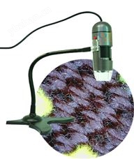 USB-600数码放大镜