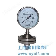 YPF-100AYPF系列膜片压力表