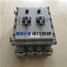 modelimplicationbxmd51防爆配电箱 防爆照明配电箱-电镀电源