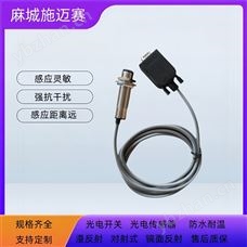 光电开关WSD-GY-001喷码机包装发运设备