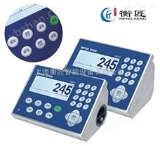 IND245电子称重仪表工业称重终端梅特勒-托利多-电子衡器 计量称重仪表