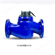 成都资阳垂直螺翼式冷热水表