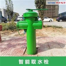 公益性“定点取水”市政取水栓-水压力表