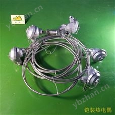 铠装热电偶温度传感器
