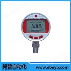 上海毅碧数字压力表