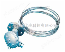 WRNKK30-4401多点热电偶