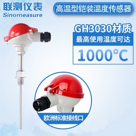 WRNK热电偶K型3030合金锅炉耐高温铠装