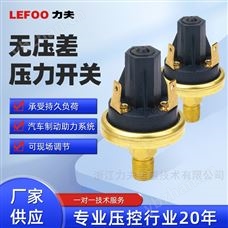LF20水压/气压压力开关