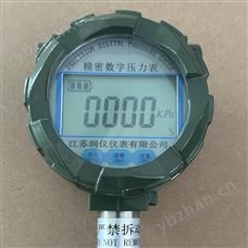 防爆精密数字压力表
