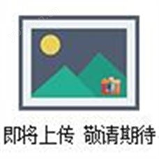 WRPB-230二等标准热电偶