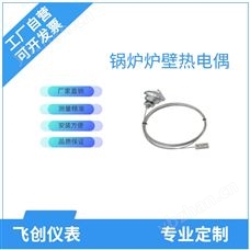 FC-WRNK锅炉炉壁热电偶/热电阻