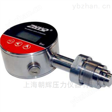 PT124G-650智能在线数字压力表