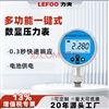 力夫电子压力表数显高精度耐震数字表