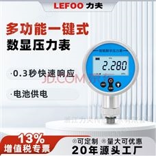 LFT6100力夫电子压力表数显高精度耐震数字表