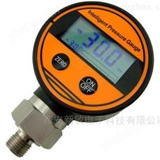 CYB108A数字压力表
