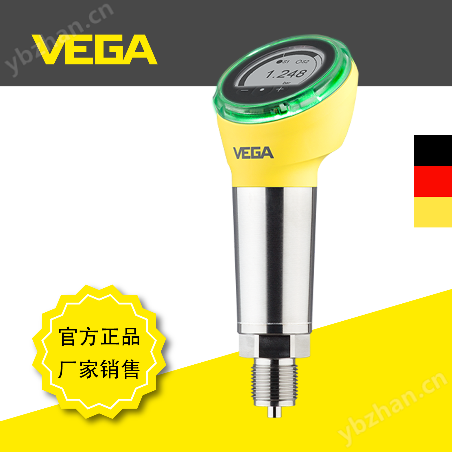 威格VEGABAR 38压力变送器陶瓷测量元件