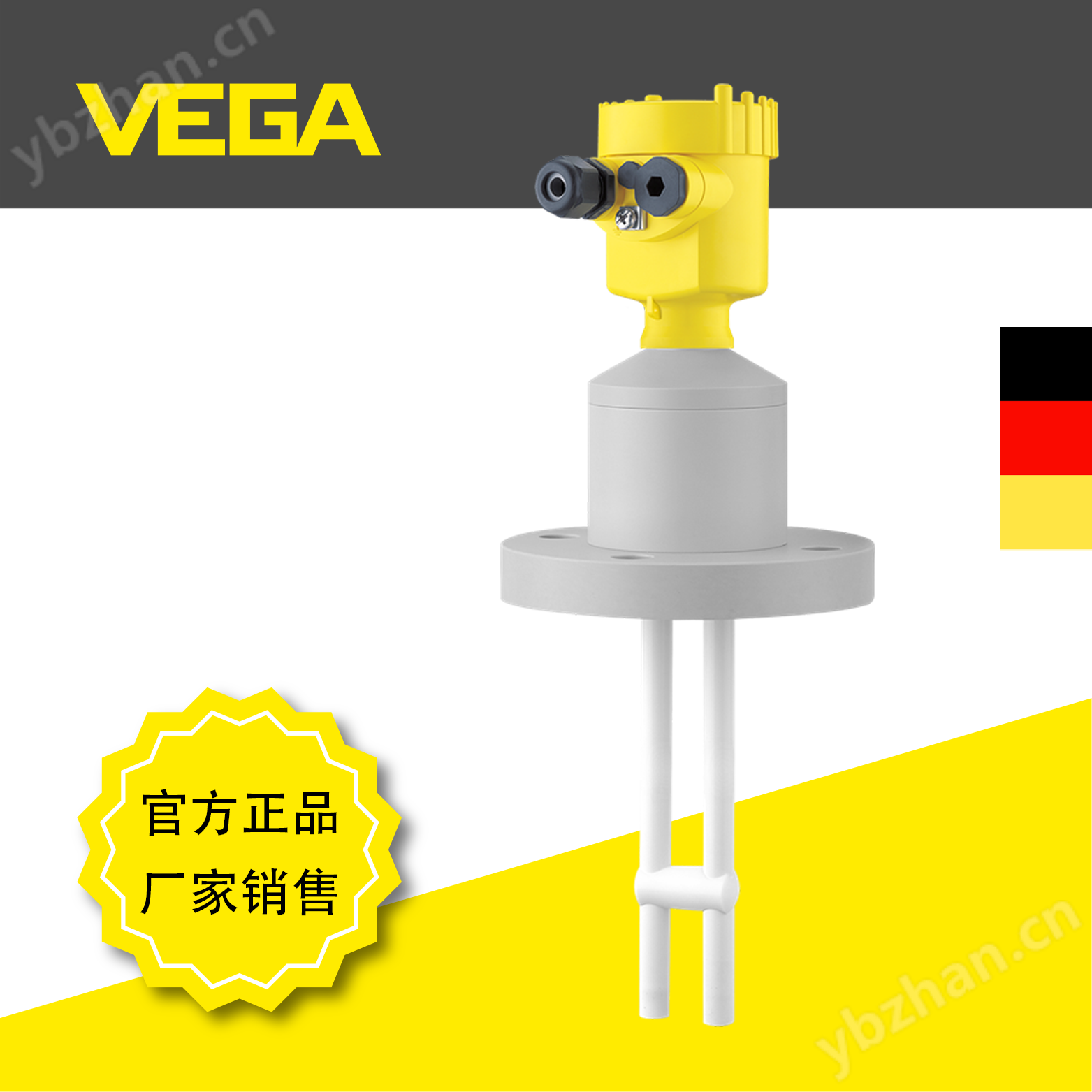 威格VEGACAL 69双杆式电容物位计FEP全绝缘