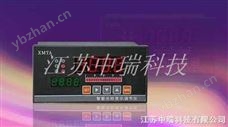 XSG智能数字闪光报警器-气体报警器